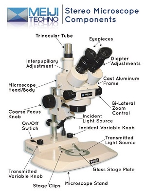 EMStereo-digital-microscope 01